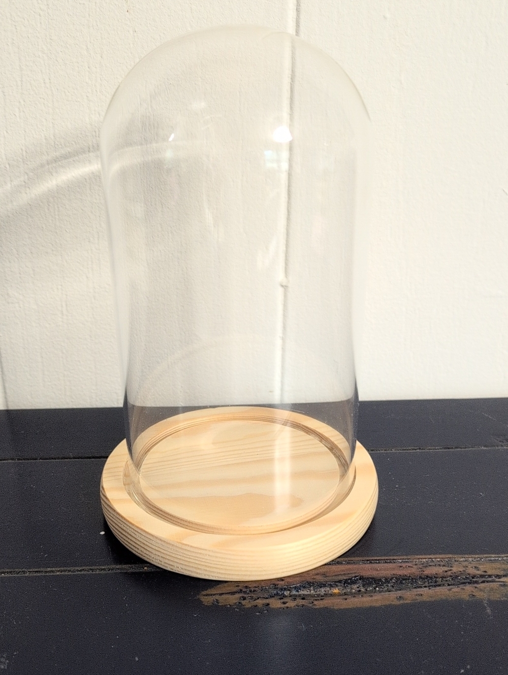 DISPLAY CLOCHE WITH NATURAL WOOD COLOURED BASE